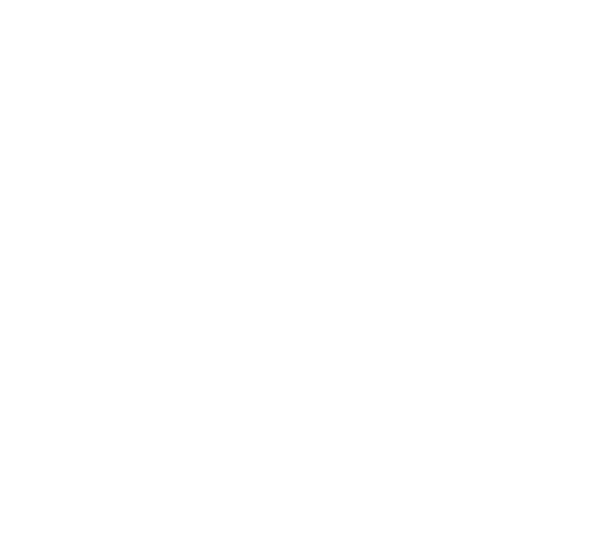 Dr. Engin Paralı